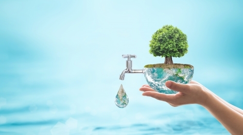 GO GREEN - пести вода