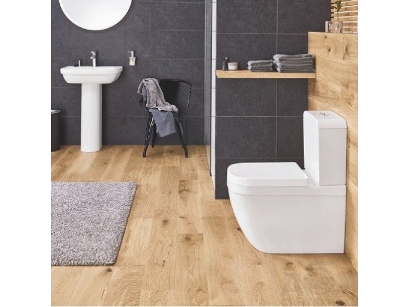 GROHE Свободностояща тоалетна за моноблок EURO CERAMIC 39338000